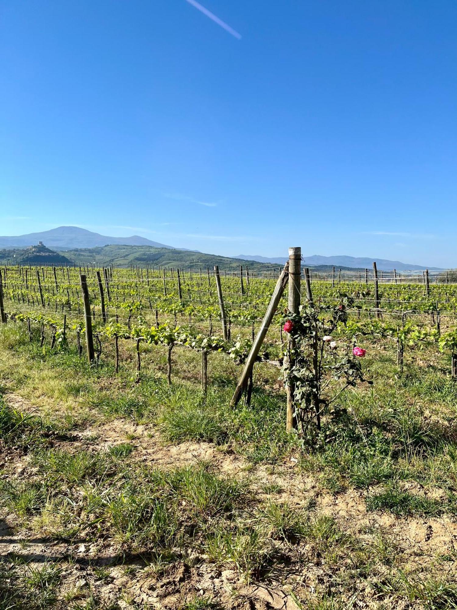 Agriturismo Le Querciole In Val D'Orcia Bagno Vignoni Bagian luar foto
